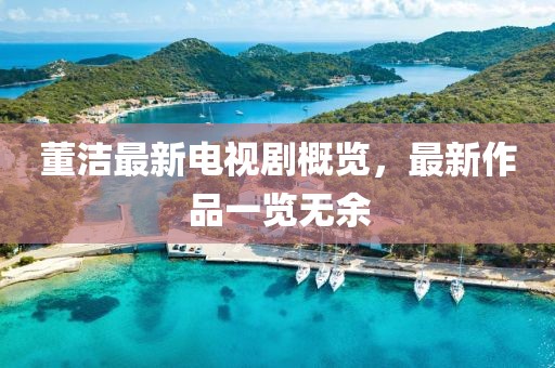 董潔最新電視劇概覽，最新作品一覽無(wú)余