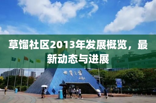草餾社區(qū)2013年發(fā)展概覽，最新動態(tài)與進展
