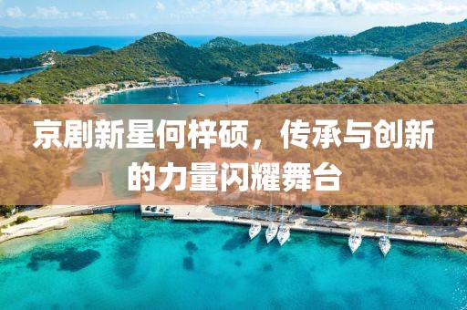 京劇新星何梓碩，傳承與創(chuàng)新的力量閃耀舞臺