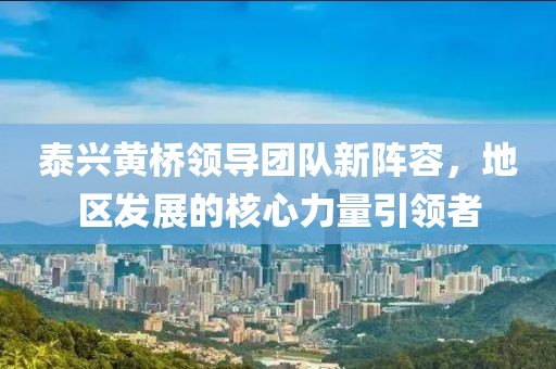 泰興黃橋領(lǐng)導(dǎo)團(tuán)隊(duì)新陣容，地區(qū)發(fā)展的核心力量引領(lǐng)者