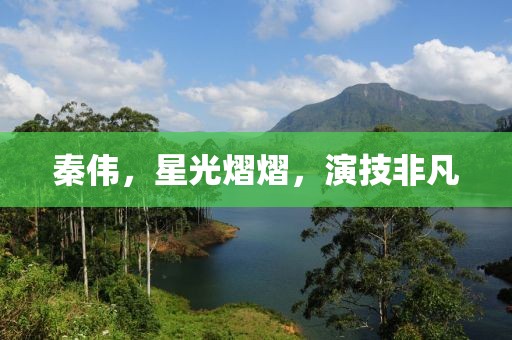 秦偉，星光熠熠，演技非凡