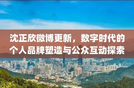 沈正欣微博更新，數(shù)字時代的個人品牌塑造與公眾互動探索