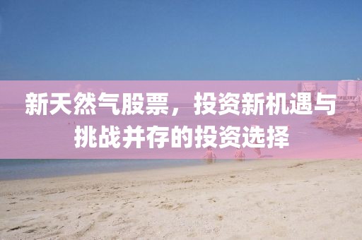 新天然氣股票，投資新機遇與挑戰(zhàn)并存的投資選擇