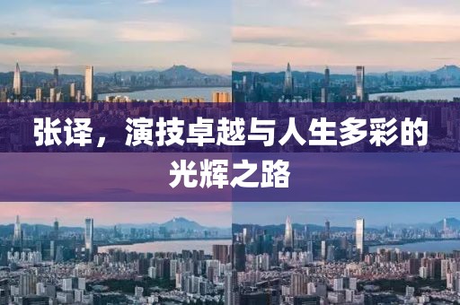 張譯，演技卓越與人生多彩的光輝之路