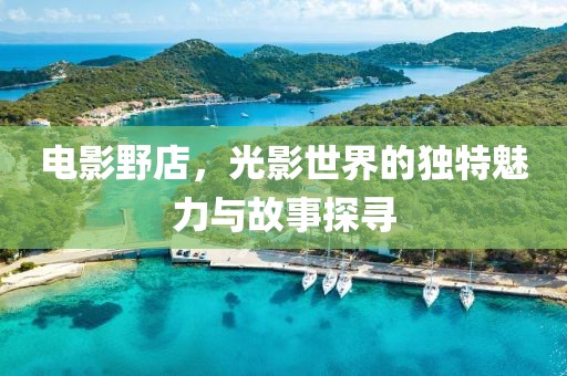 電影野店，光影世界的獨特魅力與故事探尋