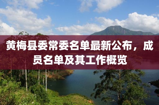 黃梅縣委常委名單最新公布，成員名單及其工作概覽