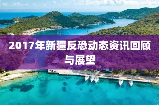 2017年新疆反恐動態(tài)資訊回顧與展望