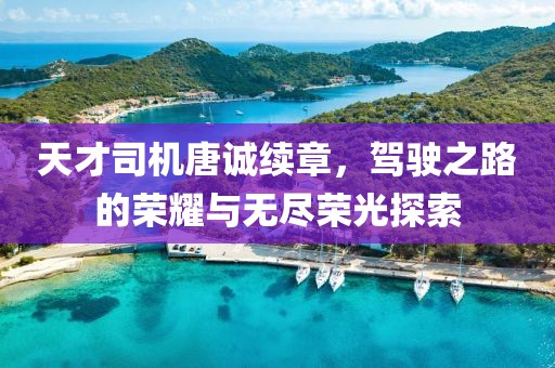 天才司機唐誠續(xù)章，駕駛之路的榮耀與無盡榮光探索