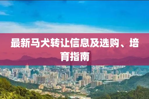 最新馬犬轉(zhuǎn)讓信息及選購(gòu)、培育指南