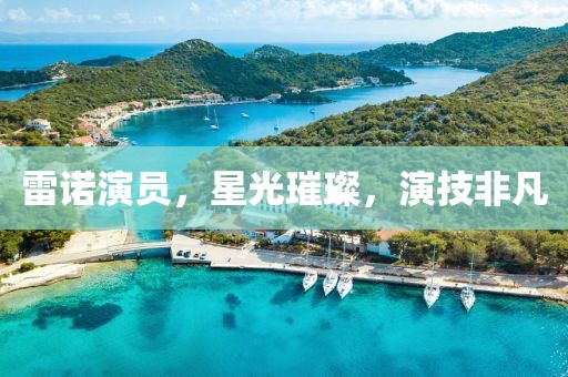 雷諾演員，星光璀璨，演技非凡