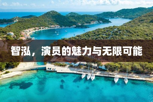 智泓，演員的魅力與無限可能