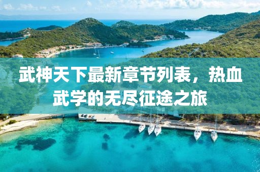 武神天下最新章節(jié)列表，熱血武學(xué)的無(wú)盡征途之旅