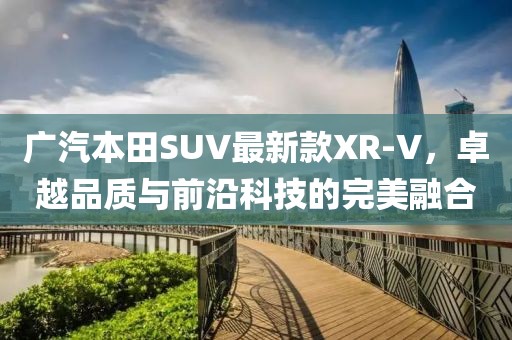 寂寞安撫 第11頁