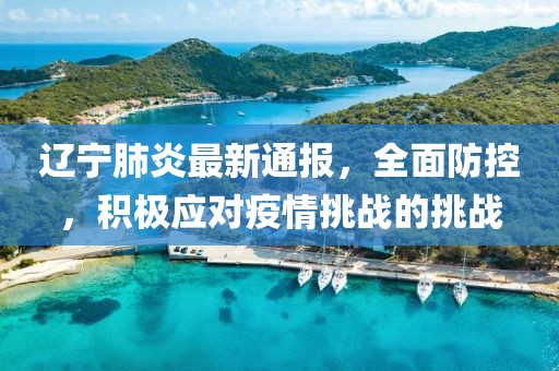 遼寧肺炎最新通報(bào)，全面防控，積極應(yīng)對(duì)疫情挑戰(zhàn)的挑戰(zhàn)