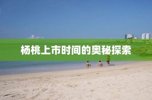 楊桃上市時(shí)間的奧秘探索