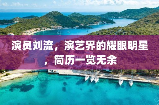 演員劉流，演藝界的耀眼明星，簡歷一覽無余
