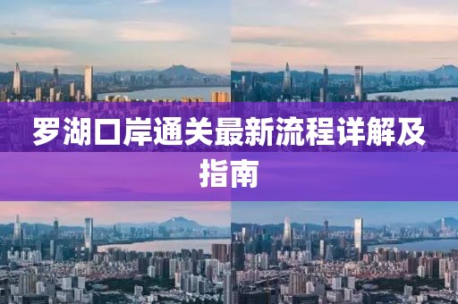 羅湖口岸通關(guān)最新流程詳解及指南