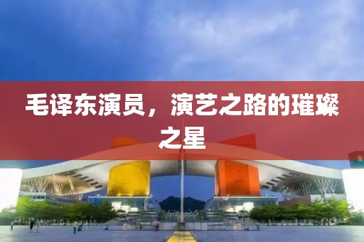 毛譯東演員，演藝之路的璀璨之星