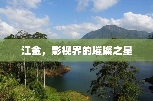 江金，影視界的璀璨之星
