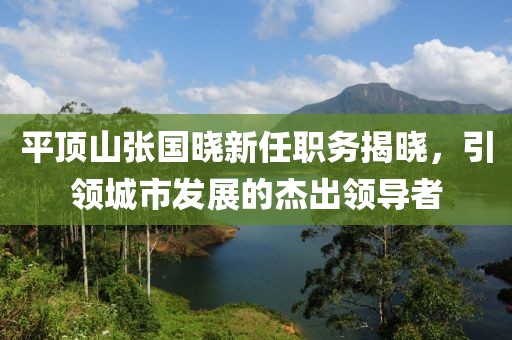 平頂山張國(guó)曉新任職務(wù)揭曉，引領(lǐng)城市發(fā)展的杰出領(lǐng)導(dǎo)者
