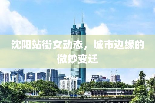 沈陽(yáng)站街女動(dòng)態(tài)，城市邊緣的微妙變遷
