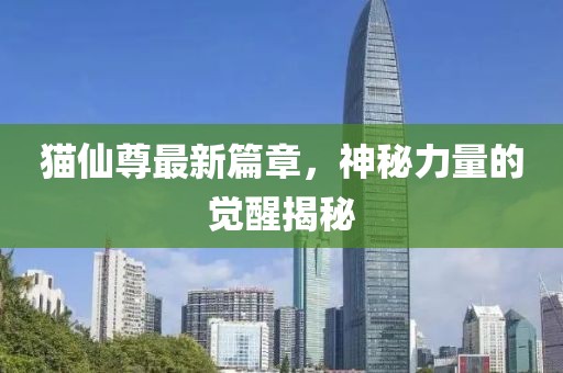 貓仙尊最新篇章，神秘力量的覺醒揭秘