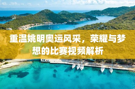 重溫姚明奧運(yùn)風(fēng)采，榮耀與夢想的比賽視頻解析