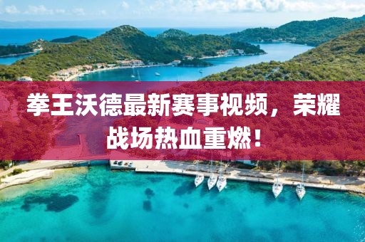 拳王沃德最新賽事視頻，榮耀戰(zhàn)場(chǎng)熱血重燃！
