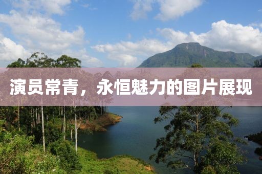 演員常青，永恒魅力的圖片展現(xiàn)