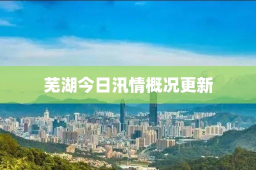 蕪湖今日汛情概況更新