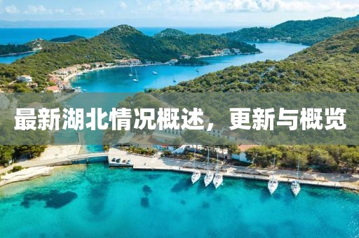 最新湖北情況概述，更新與概覽