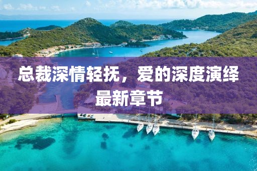 總裁深情輕撫，愛(ài)的深度演繹最新章節(jié)