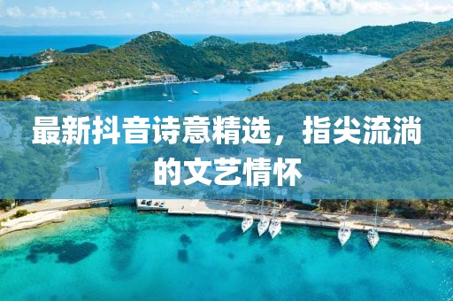 最新抖音詩意精選，指尖流淌的文藝情懷