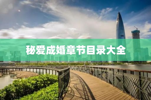 秘愛成婚章節(jié)目錄大全