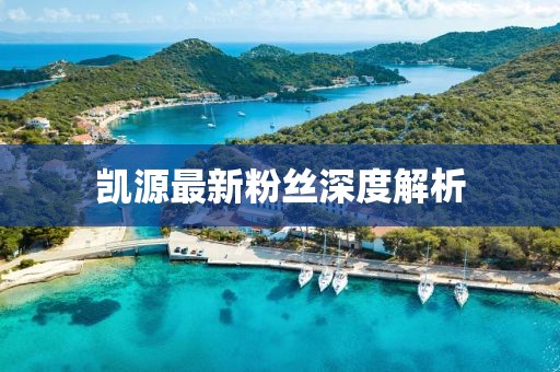 凱源最新粉絲深度解析