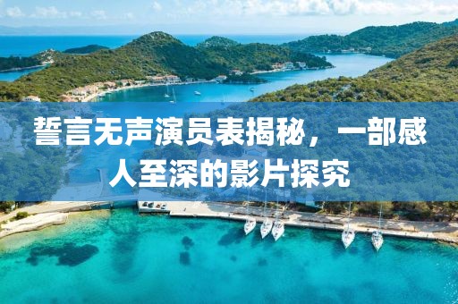 誓言無聲演員表揭秘，一部感人至深的影片探究