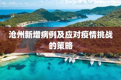 滄州新增病例及應(yīng)對疫情挑戰(zhàn)的策略