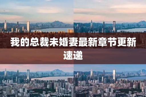 我的總裁未婚妻最新章節(jié)更新速遞