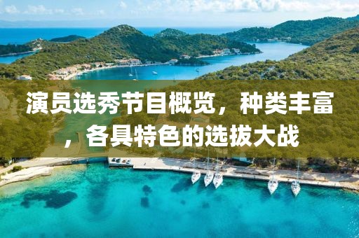 演員選秀節(jié)目概覽，種類豐富，各具特色的選拔大戰(zhàn)