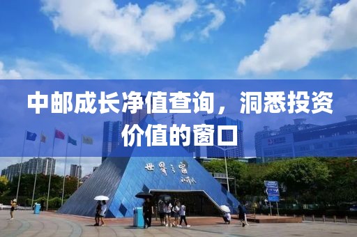 中郵成長凈值查詢，洞悉投資價值的窗口