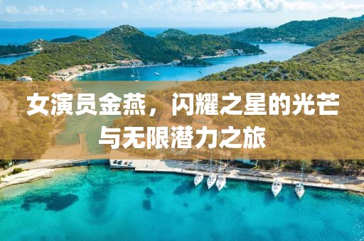 女演員金燕，閃耀之星的光芒與無限潛力之旅