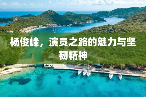 楊俊峰，演員之路的魅力與堅韌精神