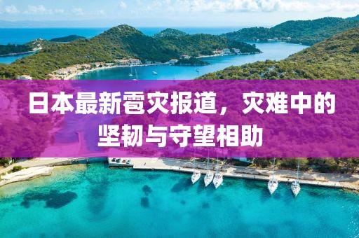 日本最新雹災報道，災難中的堅韌與守望相助