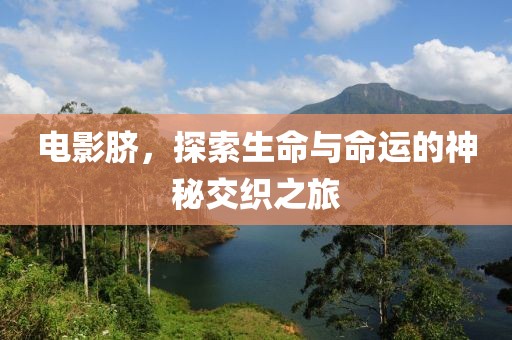電影臍，探索生命與命運(yùn)的神秘交織之旅