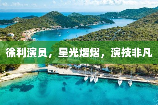 徐利演員，星光熠熠，演技非凡
