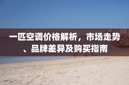一匹空調(diào)價格解析，市場走勢、品牌差異及購買指南