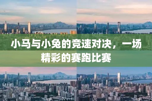 小馬與小兔的競速對決，一場精彩的賽跑比賽