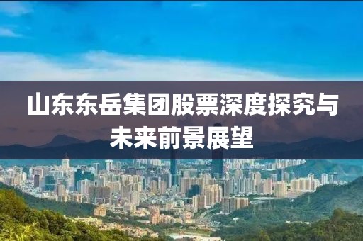 山東東岳集團股票深度探究與未來前景展望