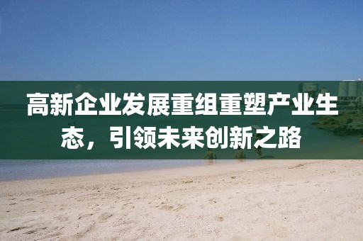 高新企業(yè)發(fā)展重組重塑產(chǎn)業(yè)生態(tài)，引領(lǐng)未來創(chuàng)新之路