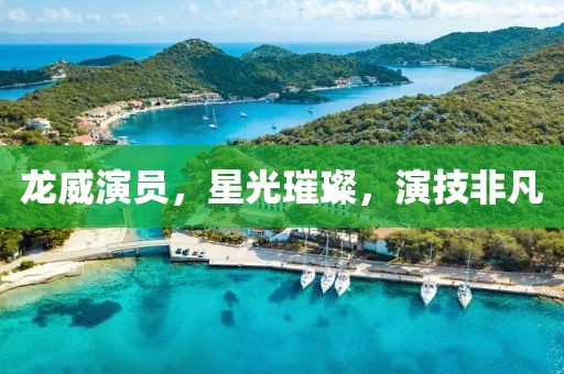 龍威演員，星光璀璨，演技非凡